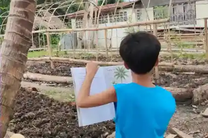 Our son reading a nature book in our garden
