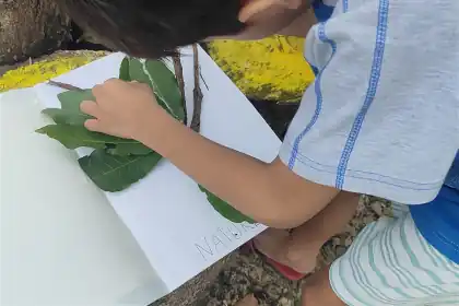 Our son placing leaves in a nature notebook