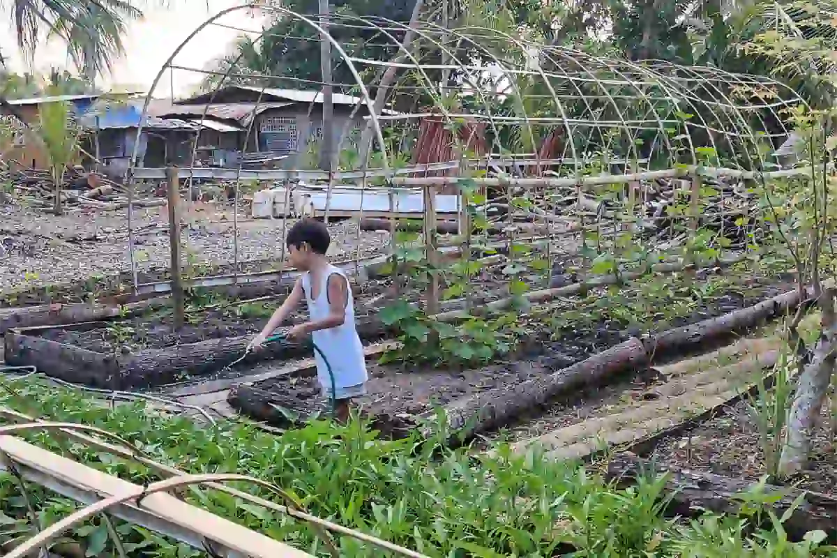 A child watering vegetable beds with a hose in our farm garden, with bamboo hoop trellises behind.